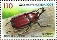 Japanese Rhinoceros Beetle (Allomyrina dichotoma)