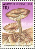 Mushrooms