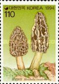 Mushrooms