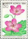 Geranium eriostemon