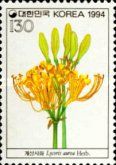 Lycoris aurea
