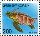 Green Sea Turtle (Chelonia mydas)