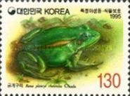 Seoul Frog (Rana plancyi chosenica)