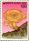 Lentinus lepideus