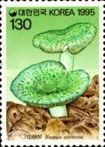 Russula virescens