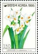 Iris odaesanensis