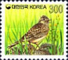 Eurasian Skylark (Alauda arvensis)