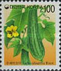 Luffa aegyptica