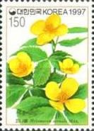 Hylomecon vernalis