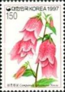 Campanula takesimana