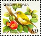 Japanese White-eye (Zosterops japonica)