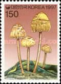 Panaeolus papilionaceus