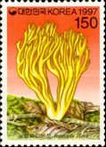 Ramaria flava