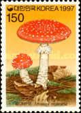 Amanita muscaria