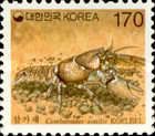 Crayfish (Cambaroides similis)