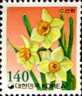 Narcissus tazetta var. chinensis