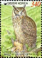 Eurasian Eagle-owl (Bubo bubo)