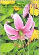 Lilium cernum