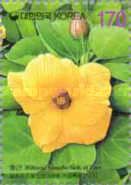 Hibiscus hamabo