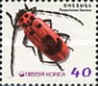 Longhorn Beetle (Purpuricenus lituratus)