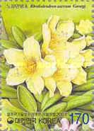 Rhododendron aureum