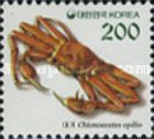 Snow Crab (Chionoecetes opilio)