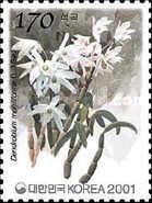 Dendrobium moniliforme