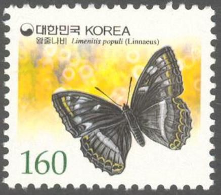 Popular Admiral (Limenitis populi)