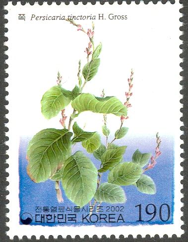 Persicaria tinctoria H. Gross