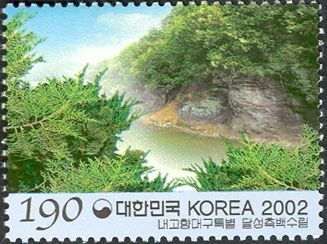 Daegu - forest of Oriental Pines