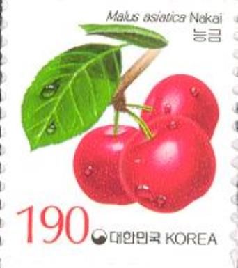 Malus asiatica Nakai