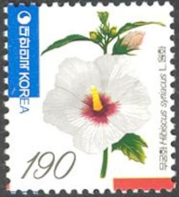 Hibiscus syriacus