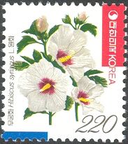 Hibiscus syriacus