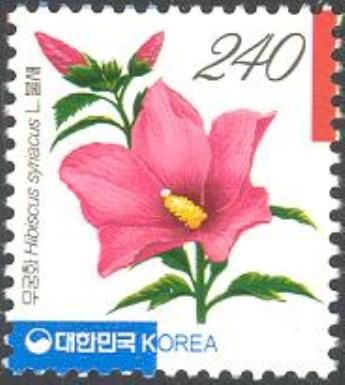 Hibiscus syriacus