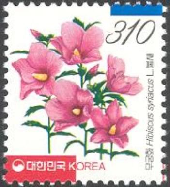 Hibiscus syriacus