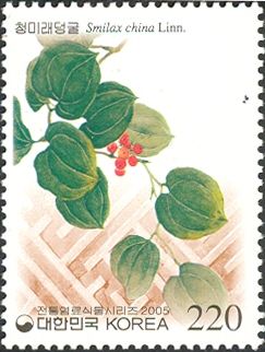Smilax china