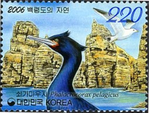Pelagic Cormorant (Phalacrocorax pelagicus)