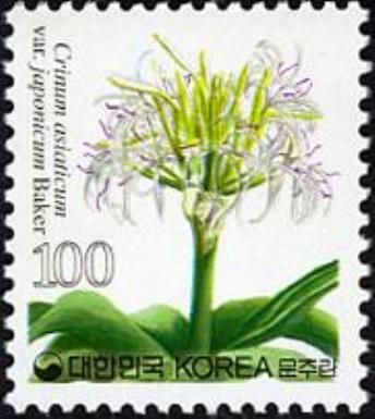 Flora (Flowers - General)