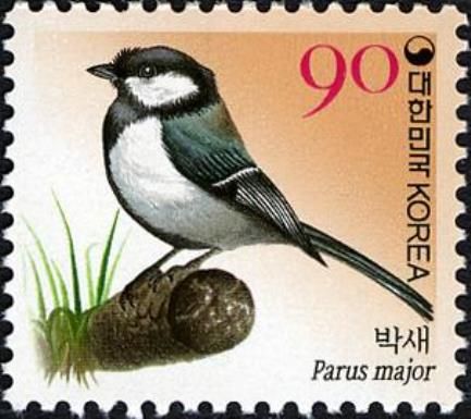 AsianTit (Parus major) (see description)