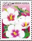 Rose of Sharon