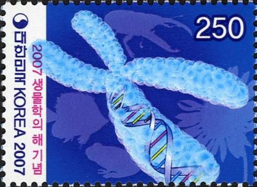Science & Technology (Biology). Chromosome