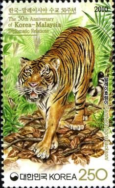 Malayan Tiger (Panthera tigris jacksoni) 