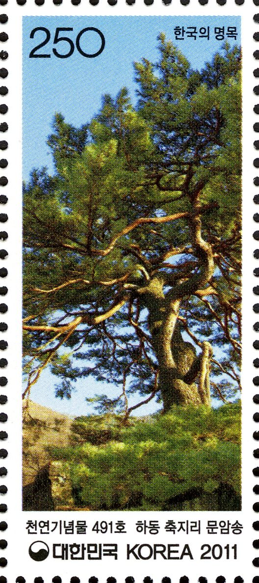 Literary Rock Pine at Chukji-ri, Hadong