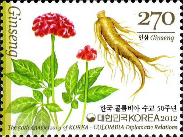 Ginseng