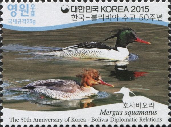 Scaly-sided Merganser (Mergus squamatus)
