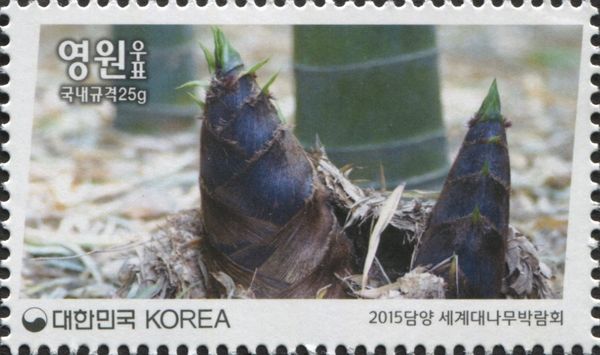 World Bamboo Fair Damyang KOREA 2015