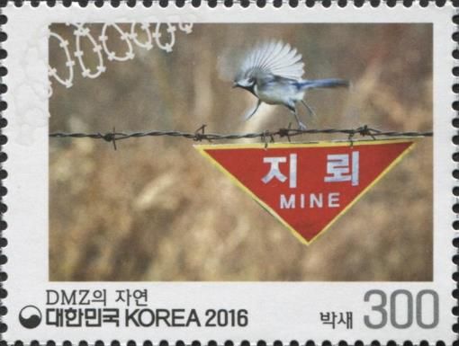 Parus major