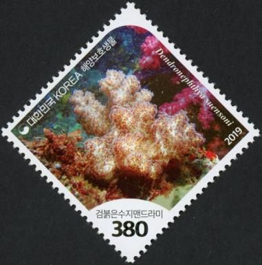 World Environment Day 2019 : Corals