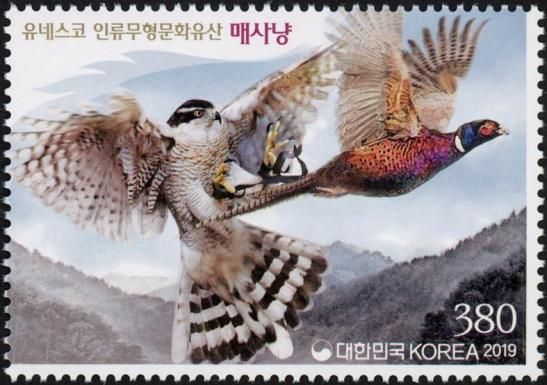 Falcon Capturing Prey