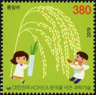 Tongil High Yield Rice